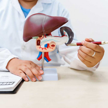 Hepatologist em St. Catharines / ON